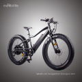 1000w BAFANG hinteren Motor billige elektrische Fahrrad Fett Reifen zum Verkauf